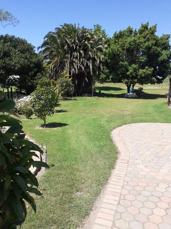 3 Bedroom Property for Sale in Albertinia Western Cape